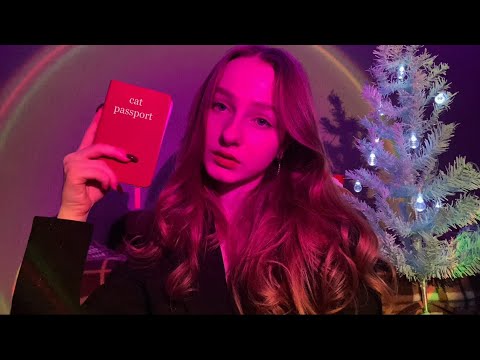 Видео: ☀︎ ASMR паспортный контроль в мире снов ☀︎