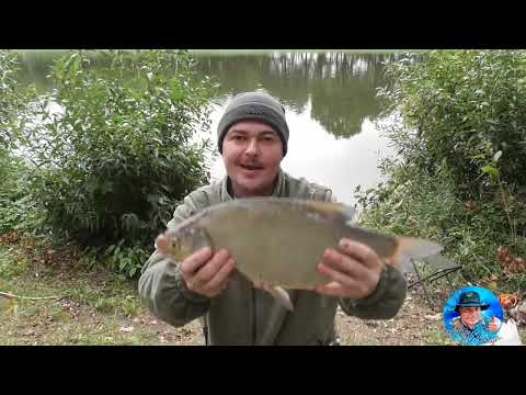Видео: Гігантський лящ.
