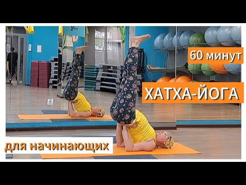 Видео: 1 час йога микс | йога для начинающих и продолжающих | отстройка поз