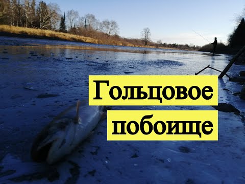 Видео: Гольцовое побоище