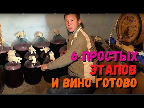 Видео: 6 ШАГОВ и ВИНО из винограда в домашних условиях готово | Простой рецепт вина для новичков