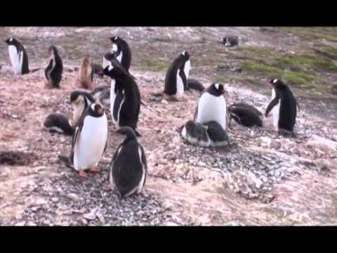 Видео: Светът и всичко в него със СИМЕОН ИДАКИЕВ (12.05.2013г. 2-ра част)