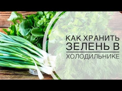 Видео: Көк пияз,ақжелкен,аскөкті 2жыл морозильникте сахтаймыз.Как долго хранить зелень в холодильнике .