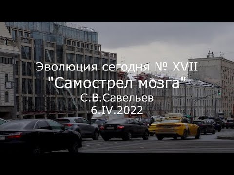 Видео: С.В. Савельев - Самострел мозга