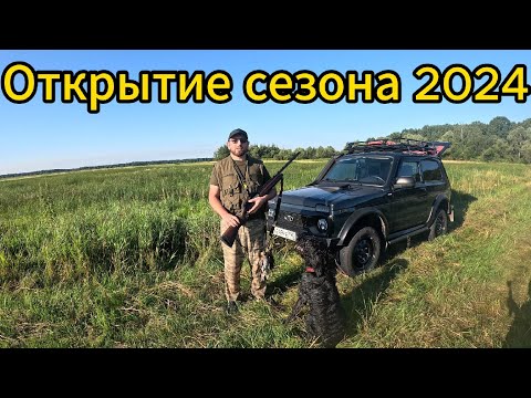 Видео: Охота с Дратхааром 2024