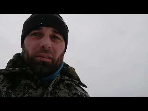 Видео: Строим кормушки для диких животных.