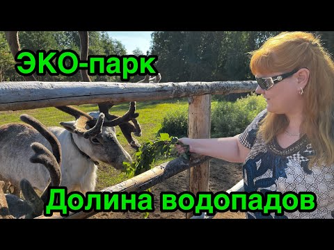 Видео: КАРЕЛИЯ / ЭКО-парк Долина водопадов | Кормление северных оленей