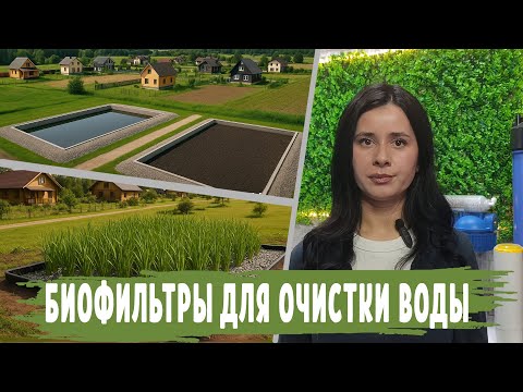 Видео: Типы БИОФИЛЬТРОВ и от чего очищают воду, БИОФИЛЬТРЫ для пруда, для сточных вод, для частного дома