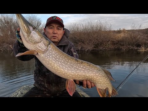 Видео: Раздача Ишим по радовал нас...
