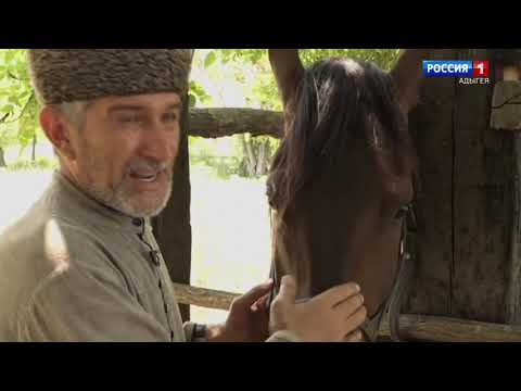Видео: Адыгэш.   #кабардинскаяпородалошадей #адыгэш #черкесия #еджэркъуай #егерухай