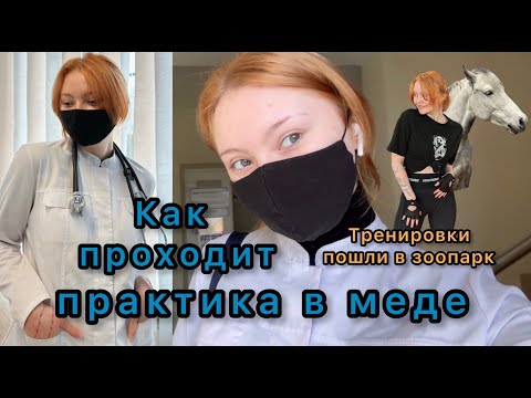 Видео: ВЛОГ: практика в медицинском / поход в зоопарк / тренировки