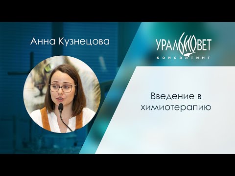 Видео: Вебинар "Введение в химиотерапию". Лектор Анна Кузнецова #убвк_онкология