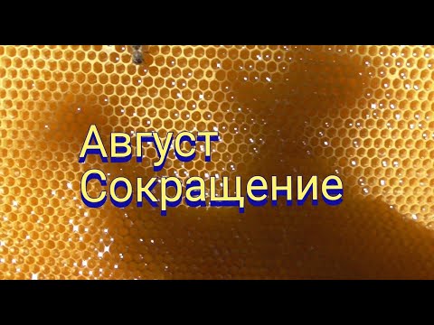 Видео: Первое сокращение гнезд в пчелосемьях в августе.