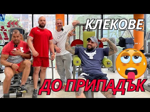 Видео: КЛЕКОВЕ ДО ПРИПАДЪК
