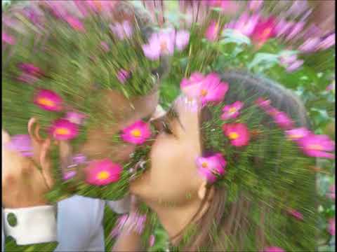 Видео: "Наталі" --  Володимир Вермінський