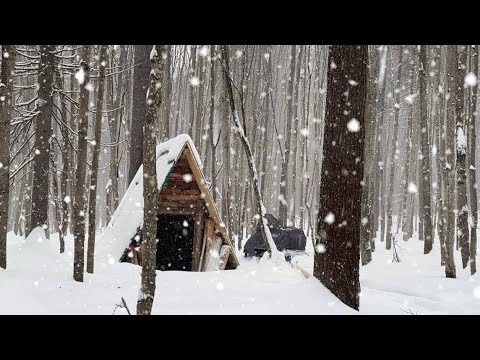 Видео: СНЕГОПАД ОБРУШИЛСЯ НА МИНИ ДОМИК \ СДЕЛАЛ САМЫЙ РОВНЫЙ ПОЛ!