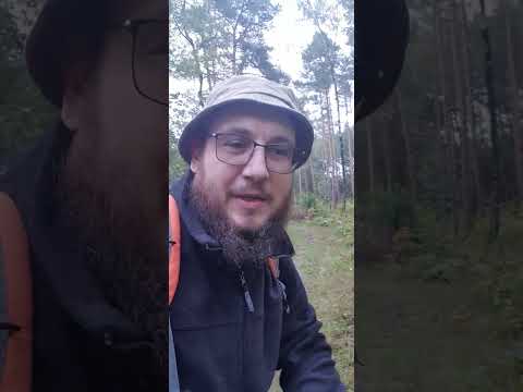 Видео: Польский гриб 🍄 🍄 🍄)))