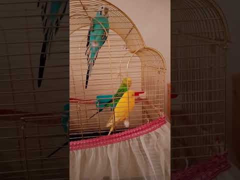 Видео: 9 октября 2025 г.