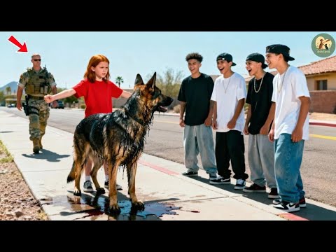 Видео: Они облили собаку «Кока Колой» ради забавы — не зная, что её хозяин был морским котиком!