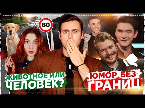 Видео: ПОПЕРЕЧНЫЙ ПРОТИВ КРИДА: ЮМОР ИЛИ ОСКОРБЛЕНИЯ? / ЛЮБАРСКАЯ ПРО ЖИВОТНЫХ: ЛЮДИ ПРОТИВ