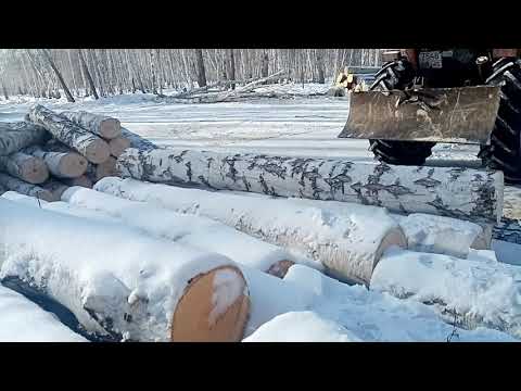 Видео: Трелевка на лтз 60аб. ответы на вопросы.