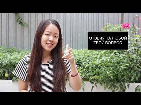 Видео: ОТВЕЧУ на любой ВОПРОС ПЕРВОКУРСНИКА