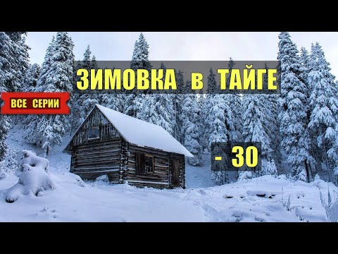 Видео: Остаюсь на зимовку ТАЙГА 2026 СЕРИАЛ ВСЕ СЕРИИ АУДИОКНИГА ДОМ в ЛЕСУ ИСТОРИИ из ЖИЗНИ КНИГИ СЛУШАТЬ
