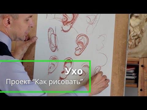 Видео: Как рисовать "Ухо" - А. Рыжкин