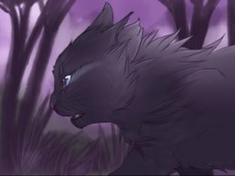 Видео: Пепелица-Беги...Беги...