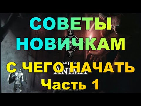 Видео: Anima ARPG (2020) видео новичку и не только. Что нужно знать вначале игры. Все в этом видео