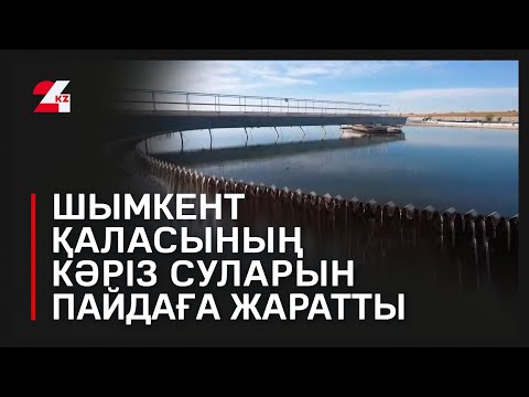 Видео: Шымкент қаласының кәріз суларын пайдаға жаратты