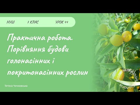 Видео: Практична робота. Порівняння будови різних представників насінних рослин