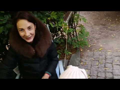 Видео: Прогулка по Никитскому парку 🍁🌹🥀 Заблудился в лабиринте 🌳🪴