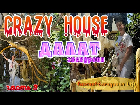 Видео: Экскурсионный ДАЛАТ часть 3🔥 Дегустируем КОФЕ ЛЮВАК🤪 Кто так строит❓Знаменитый CRAZY HOUSE 🙈