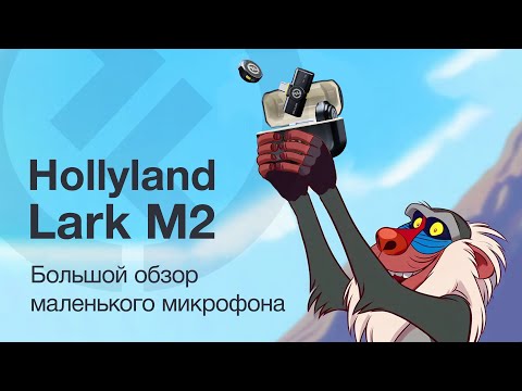 Видео: Hollyland Lark M2 большой обзор КРОШЕЧНОГО микрофона