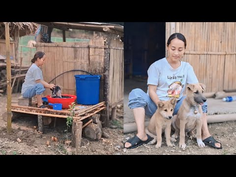 Видео: Мать-одиночка 17: Постройте чистое место, чтобы мыть одежду, посуду и покупать щенков.