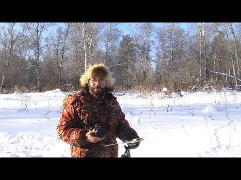Видео: "Следопыт" - Как искать животных по следам зимой