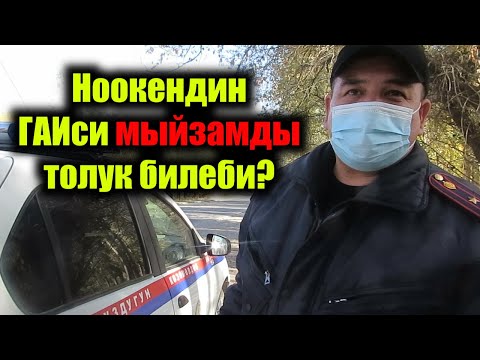 Видео: Ноокендик ГАИлер мыйзамды толук билеби?