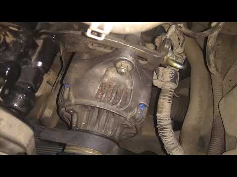 Видео: Моя Люсида