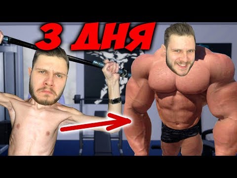 Видео: КАК Я НАКАЧАЛСЯ ЗА 3 ДНЯ \\ Gym Simulator