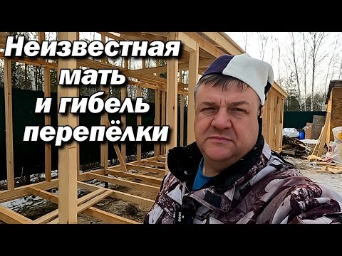 Видео: Весенние приключения на даче: Кролики, стройка и секреты!" 🌼🐇🏡