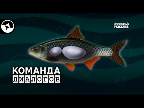 Видео: Плотва на мормышку | Классика