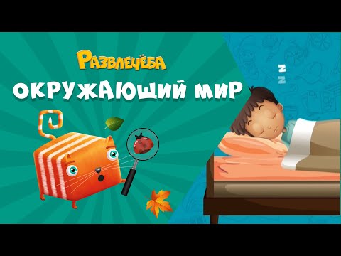 Видео: Развлечёба. Что будет, если...перестать спать