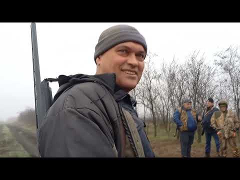 Видео: Охота  на  зайца  12.12.2021.Супер