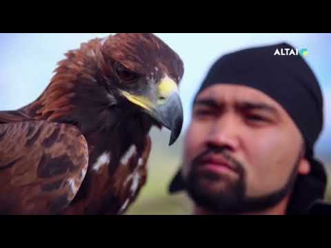 Видео: Начало эфира после профилактики (ALTAI (Усть-Каменогорск, Казахстан), 29.11.2024)