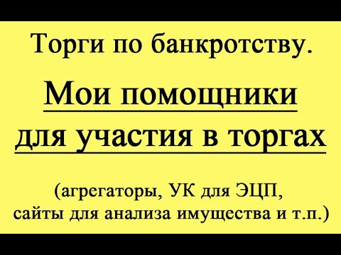 Видео: Мои помощники для участия в торгах.