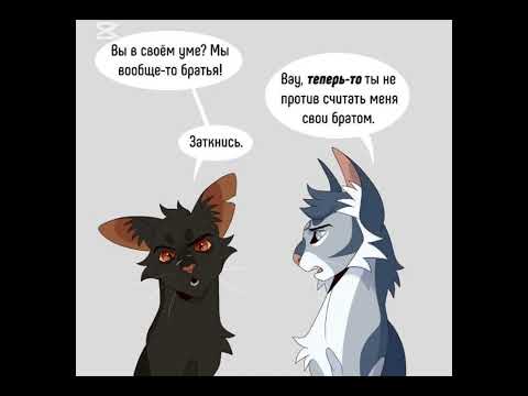 Видео: 30 октября 2025 г.