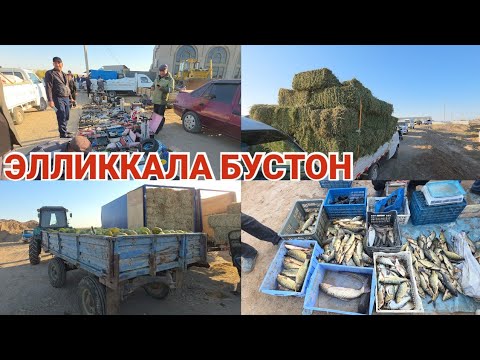 Видео: КОВУН БАЛИК ВА ЕМ ХАШАК НАРХЛАРИ 16.10.2025