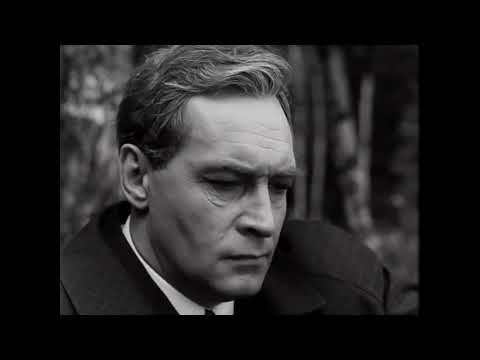 Видео: Literally Штирлиц | Mareux The Perfect Girl Edit (literally me)