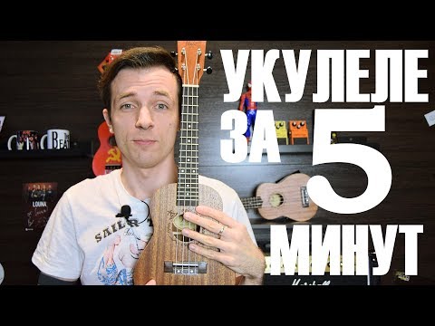 Видео: УКУЛЕЛЕ ЗА 5 МИНУТ! УРОК ПРОЩЕ НЕКУДА!